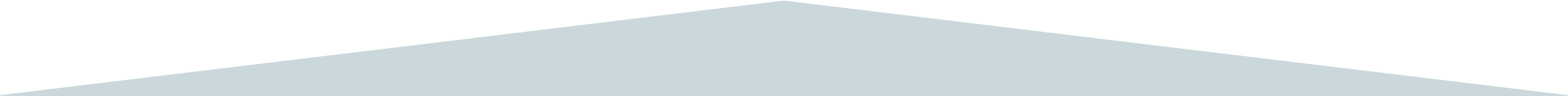 section divider