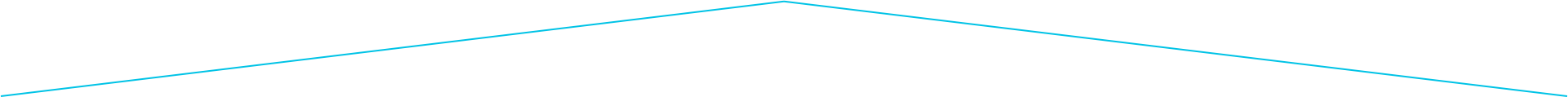 section divider